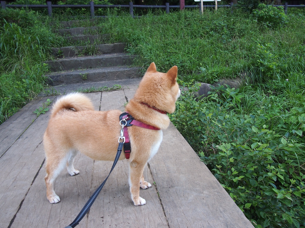 kaiyun.com-陈佳训练画面曝光引热议,陈佳kei